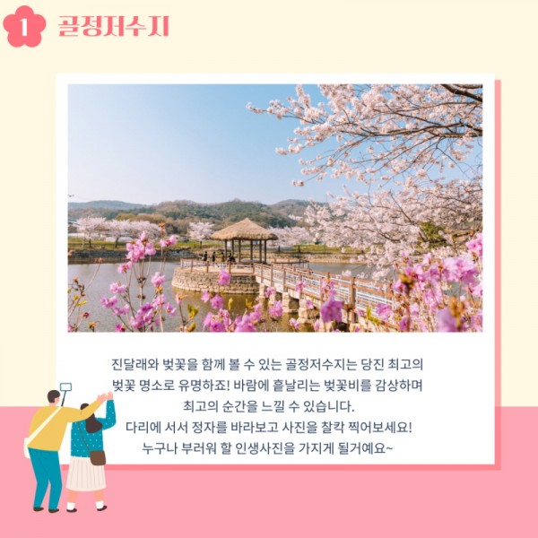 1. 골정저수지: 진달래와 벚꽃을 함께 볼 수 있는 골정저수지는 당진 최고의 벚꽃 명소로 유명하죠! 바람에 흩날리는 벚꽃비를 감상하며 최고의 순간을 느낄 수 있습니다. 다리에 서서 정자를 바라보고 사진을 찰칵 찍어보세요! 누구나 부러워 할 인생사진을 가지게 될거예요~